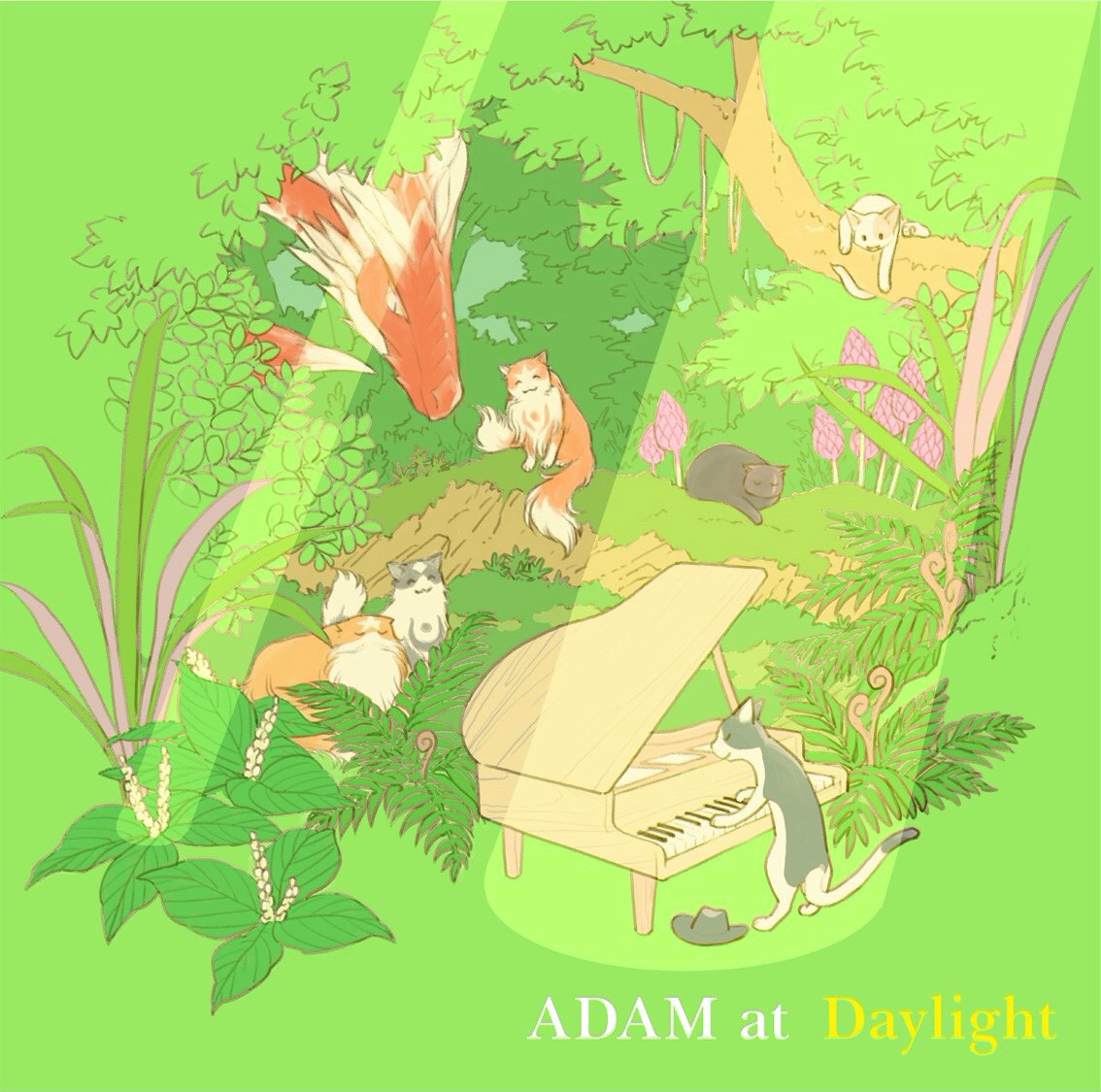 MUSIC | ADAMat