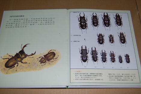 動植物関連書籍 ＞ 節足動物 ＞ 昆虫（甲虫） ＞ 台湾のクワガタ虫