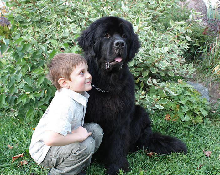 Home - Fur Tree Newfoundlands - Premier Dog Breeder