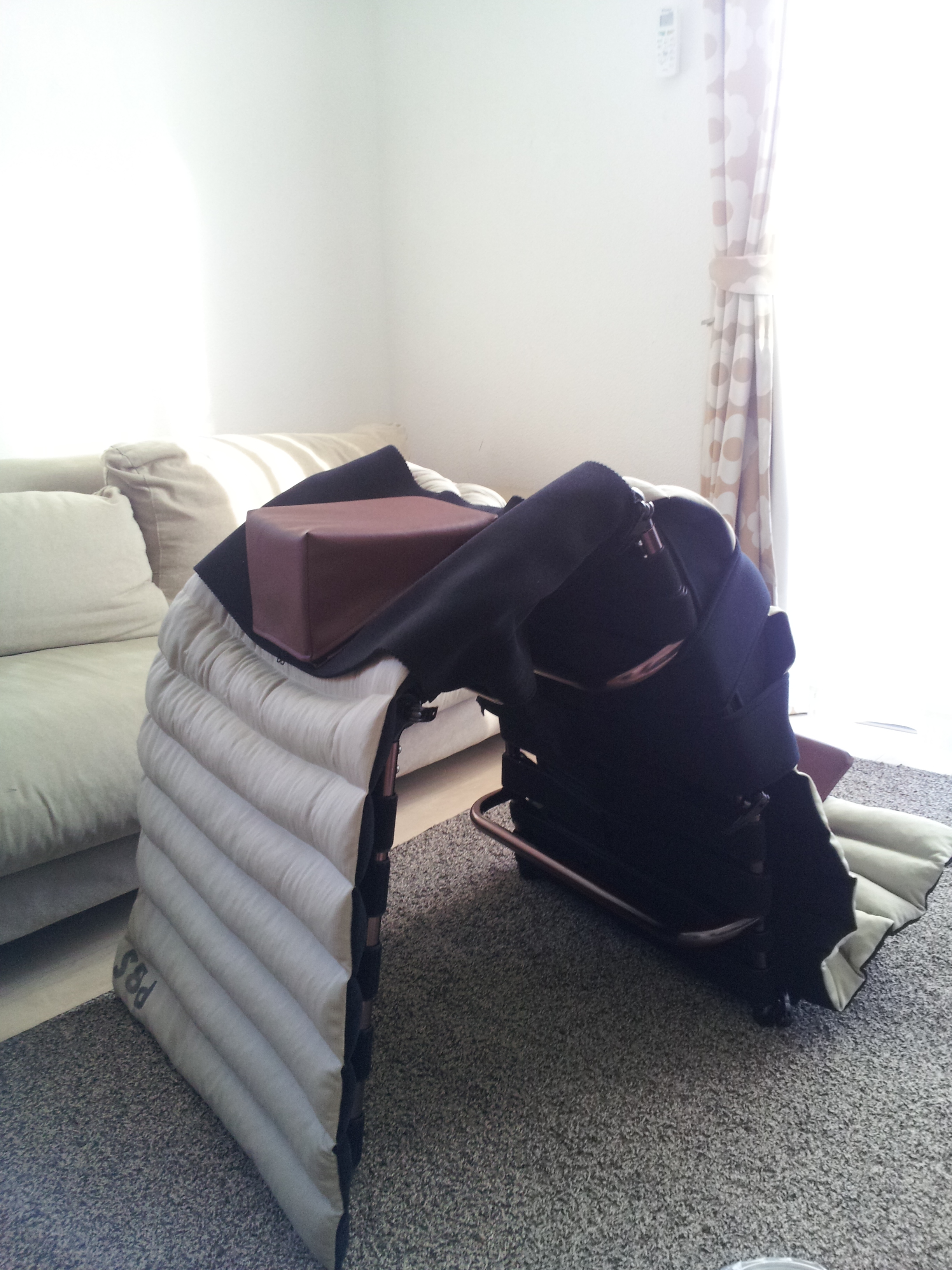 フレックス・ライダーのある風景: 姿勢保持にゃ毎日