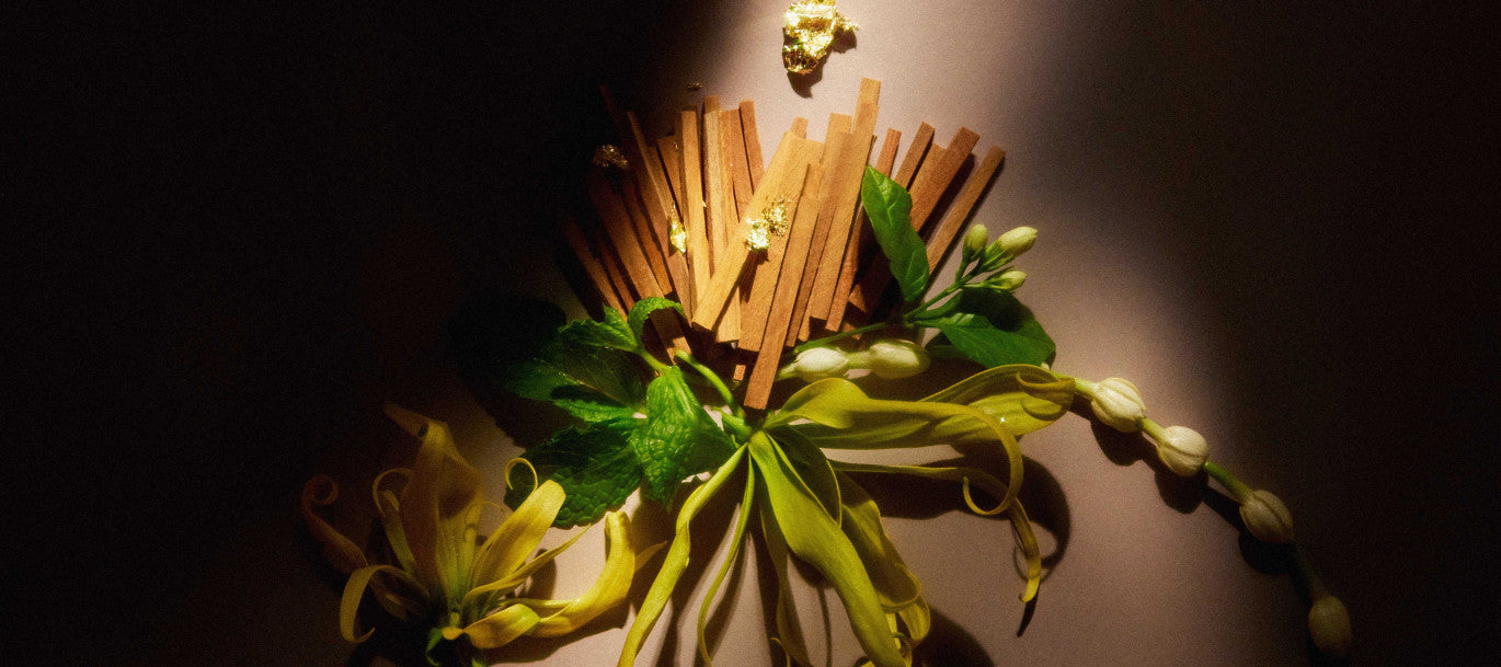 ディフューザー｜SIAMESE WATER〈サイアミーズウォーター〉 – PAÑPURI