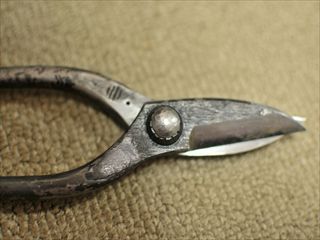 大覚寺(宮甚)再始動！！ | べしょうのブログ