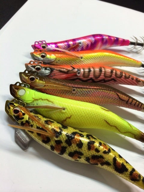 エバーグリーンのエギ | BACKLASH STAFF BLOG