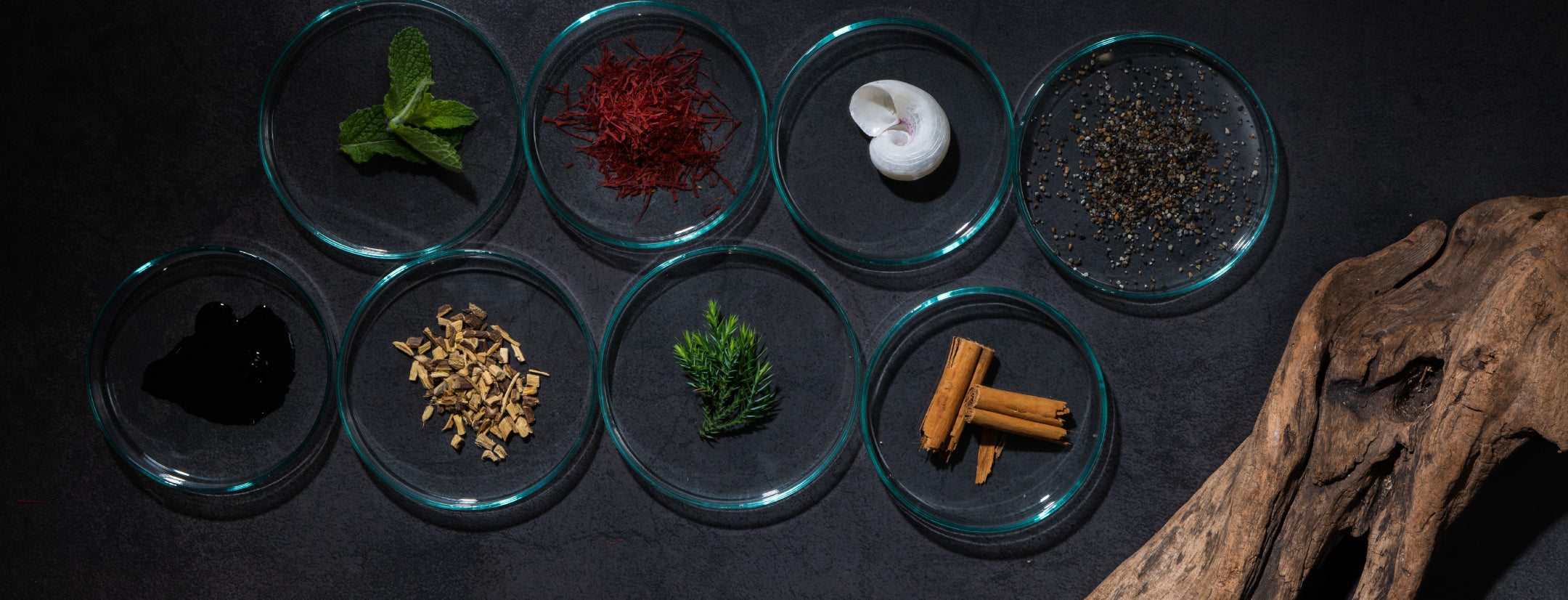 最高峰の香木、伽羅（きゃら）の香りとは？ 歴史と楽しみ方を紐解く