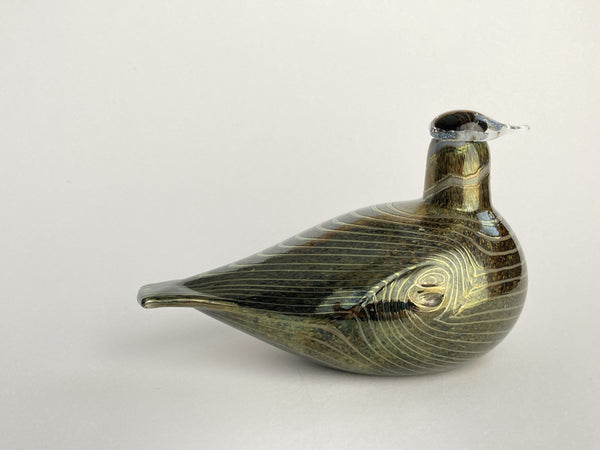 Long-Tailed Duck - Alli- Oiva Toikka Birds Nuutajärvi Finland