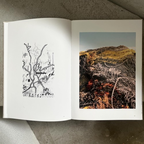 洋書 RED RIGHT RETURN charles munka アート・デザイン・音楽 Charles