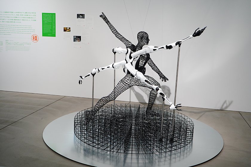 展覧会レポート】21_21 DESIGN SIGHT「未来のかけら: 科学とデザインの