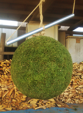 杉玉の制作・通販・販売【ブランド杉・山武杉を利用】｜99beach