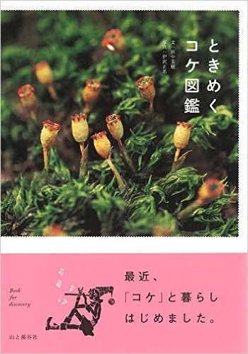 1614夜 『苔とあるく』 田中美穂 − 松岡正剛の千夜千冊