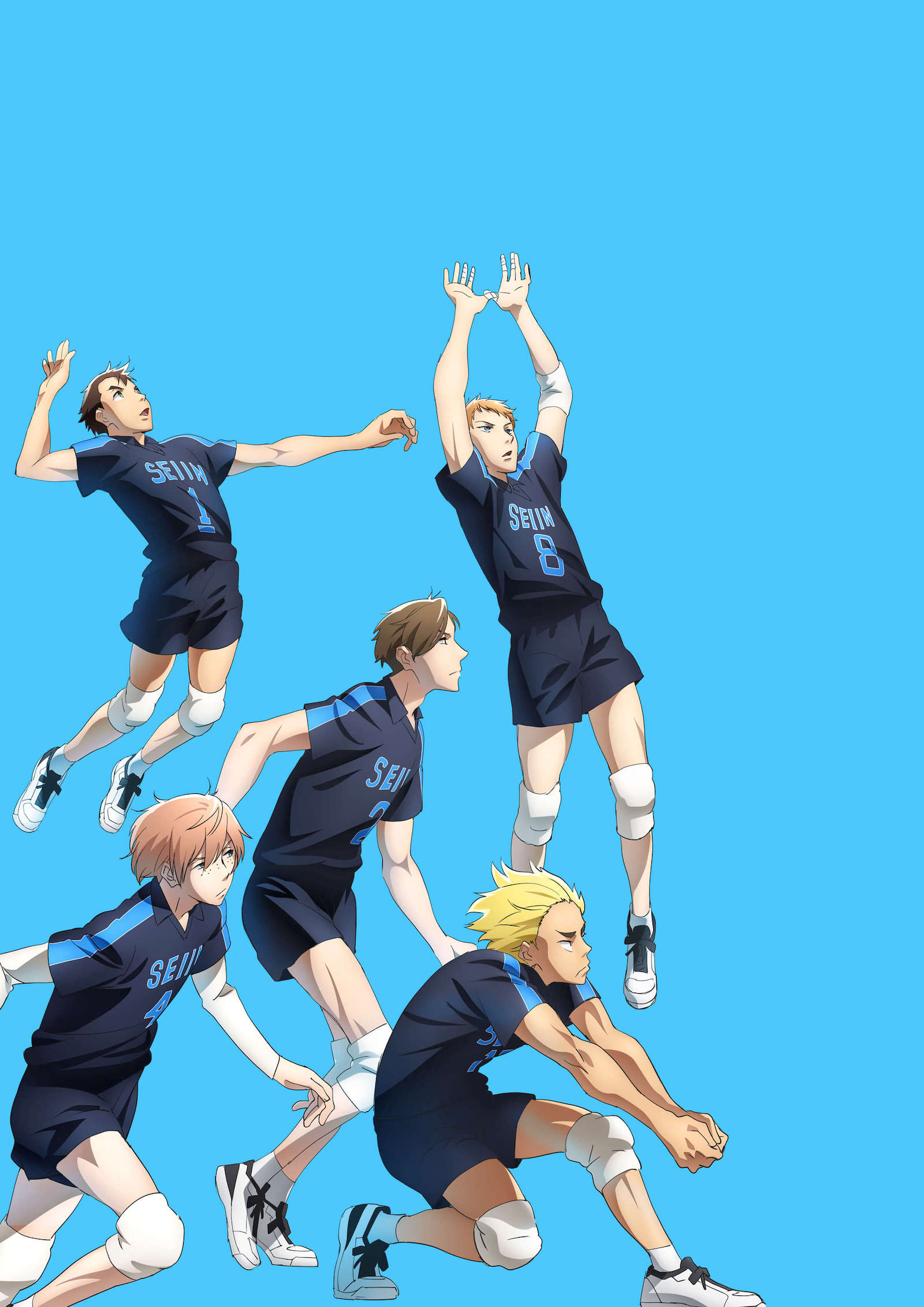 TVアニメ『2.43 清陰高校男子バレー部』公式サイト