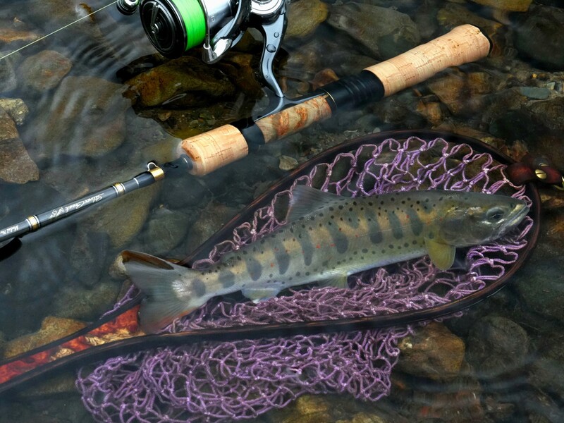 シルバークリーク Aurum(ロッド)｜DAIWA