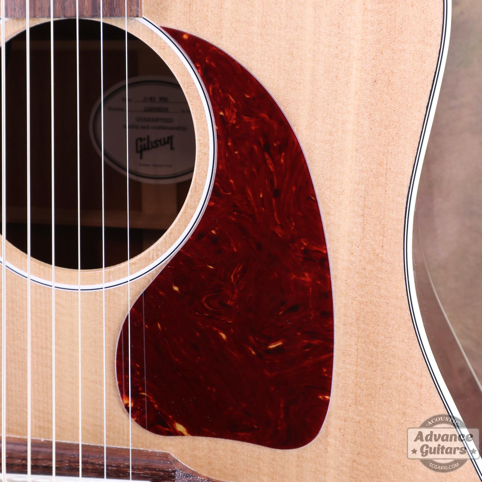 2023年製 Japan LTD J-45 STD VOS