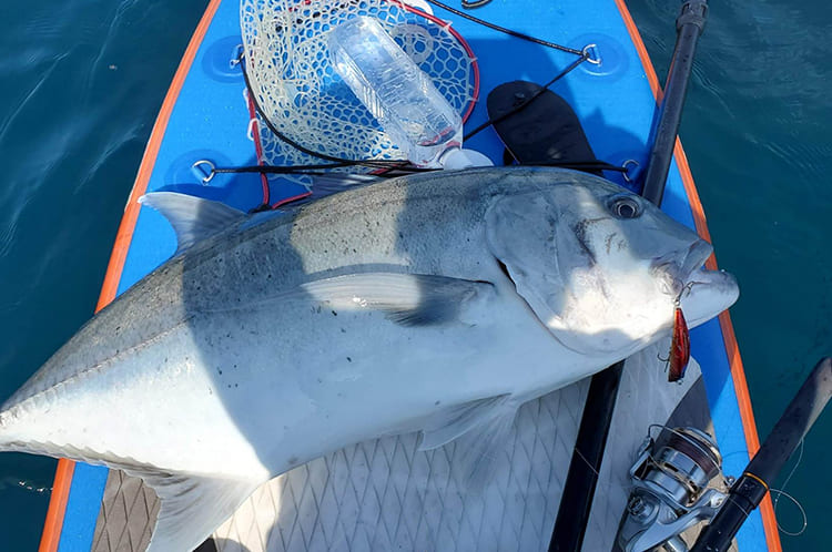 釣り情報 - 株式会社SOMES（サムズ）