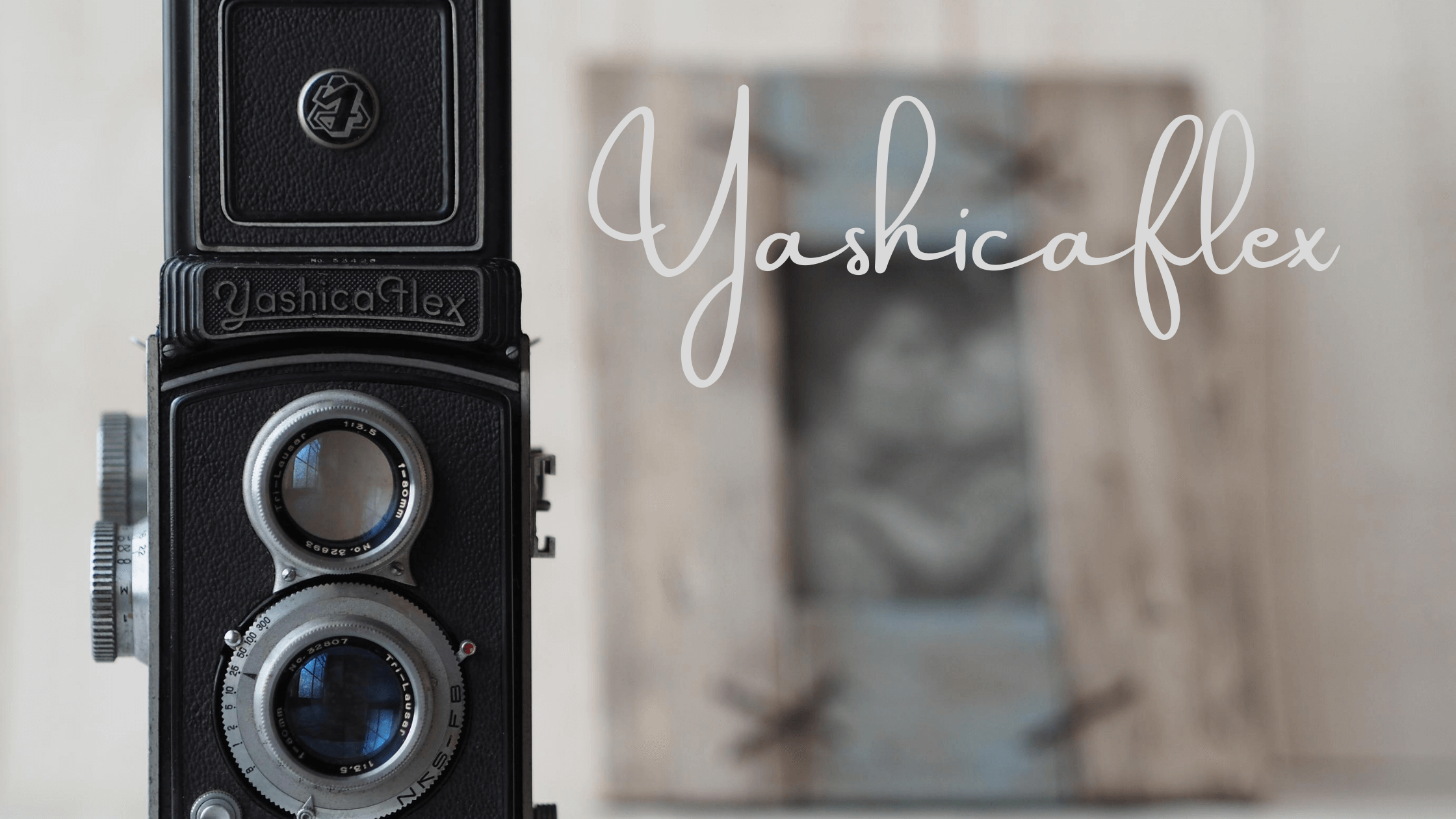 二眼レフカメラ・ヤシカフレックスを購入してみた | 旅カメライフ
