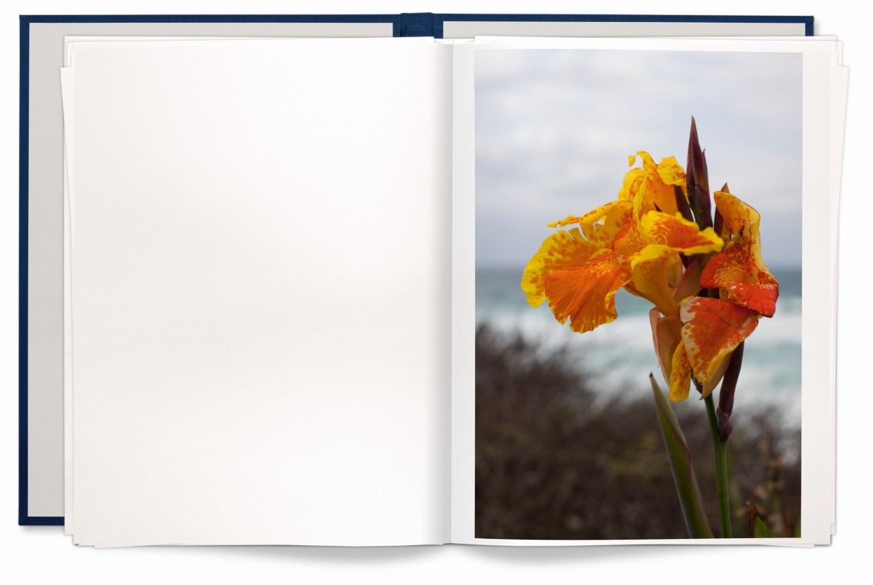 Wolfgang Tillmans. Neue Welt, Art Edition. TASCHEN Books. TASCHEN