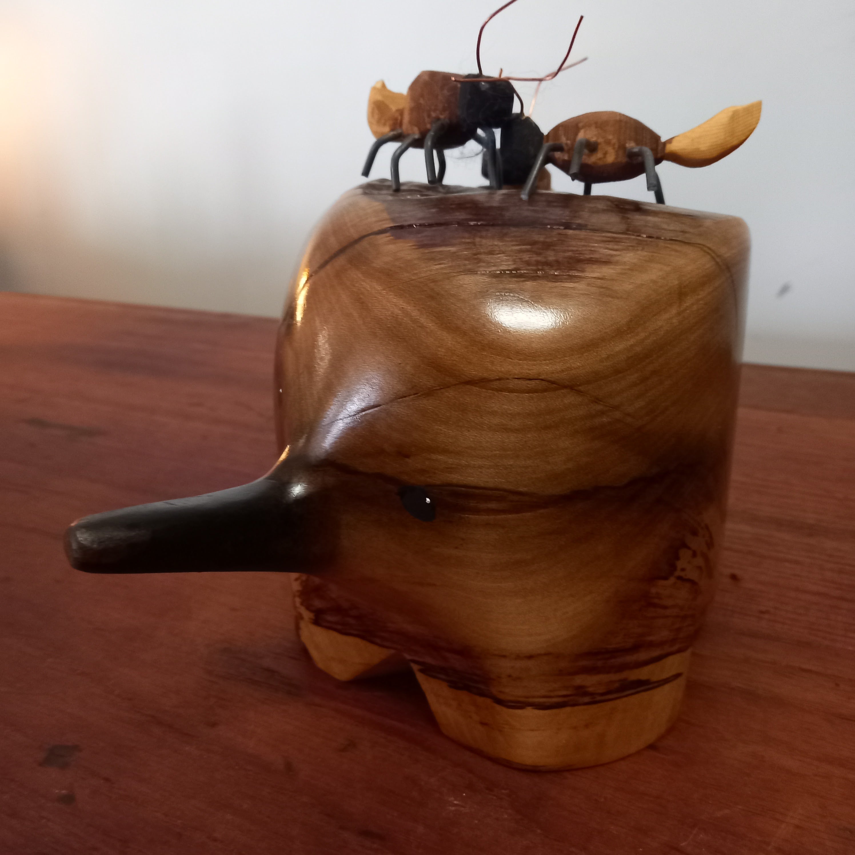 Echidna - Large – The Edge Of Nature Tasmania