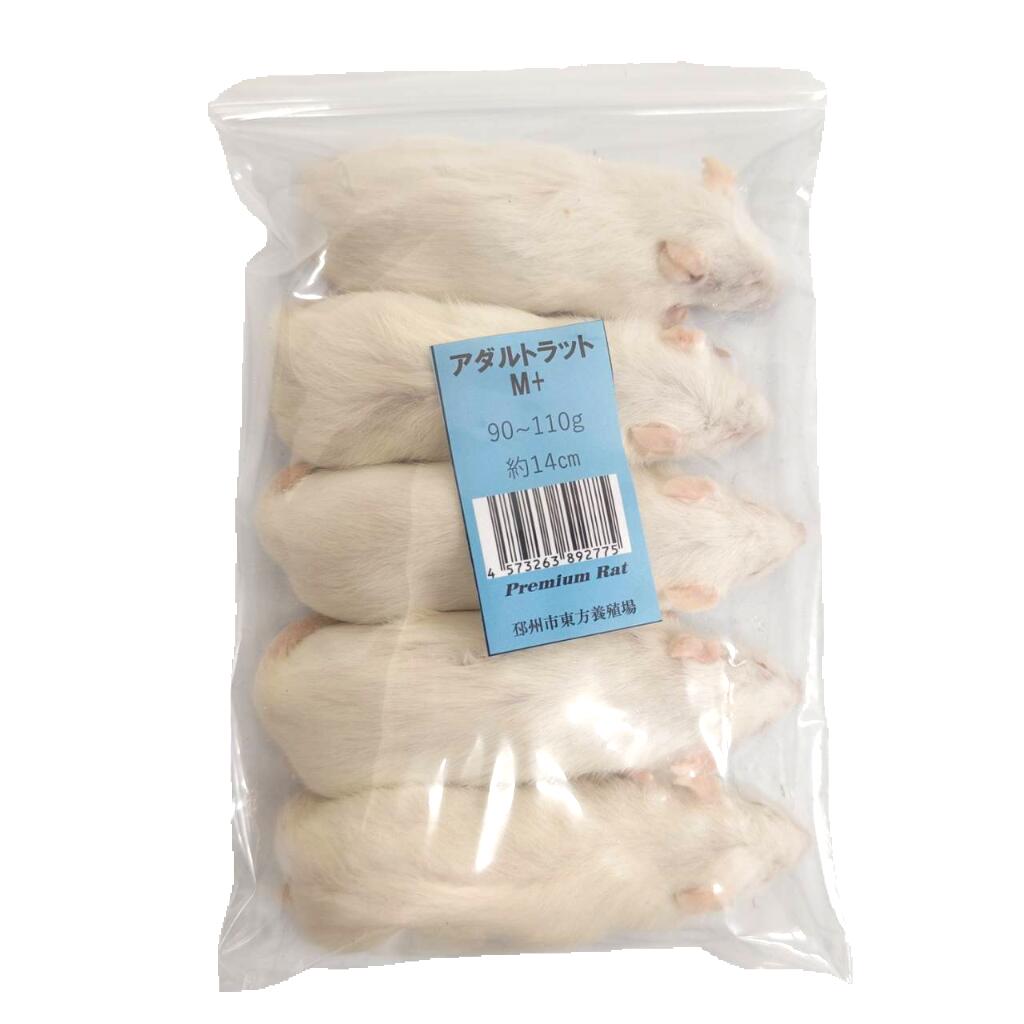 楽天市場】冷凍ラットの通販