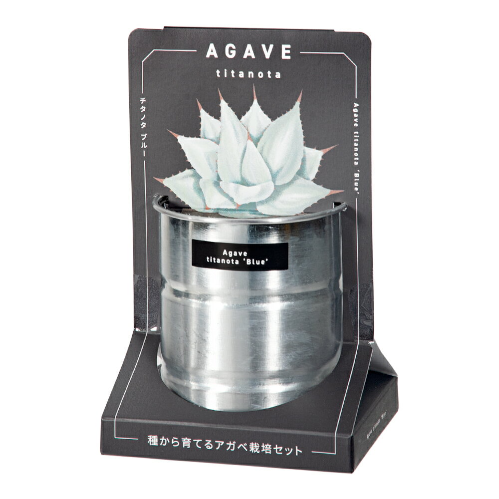 楽天市場】アガベ セットの通販