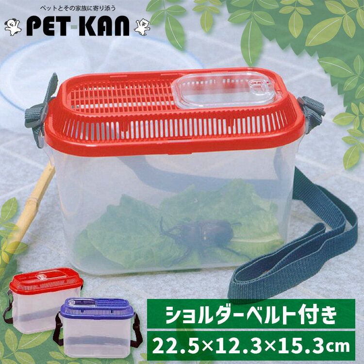 虫かご｜大人の昆虫採集に！デザインがおしゃれな虫かごのおすすめ