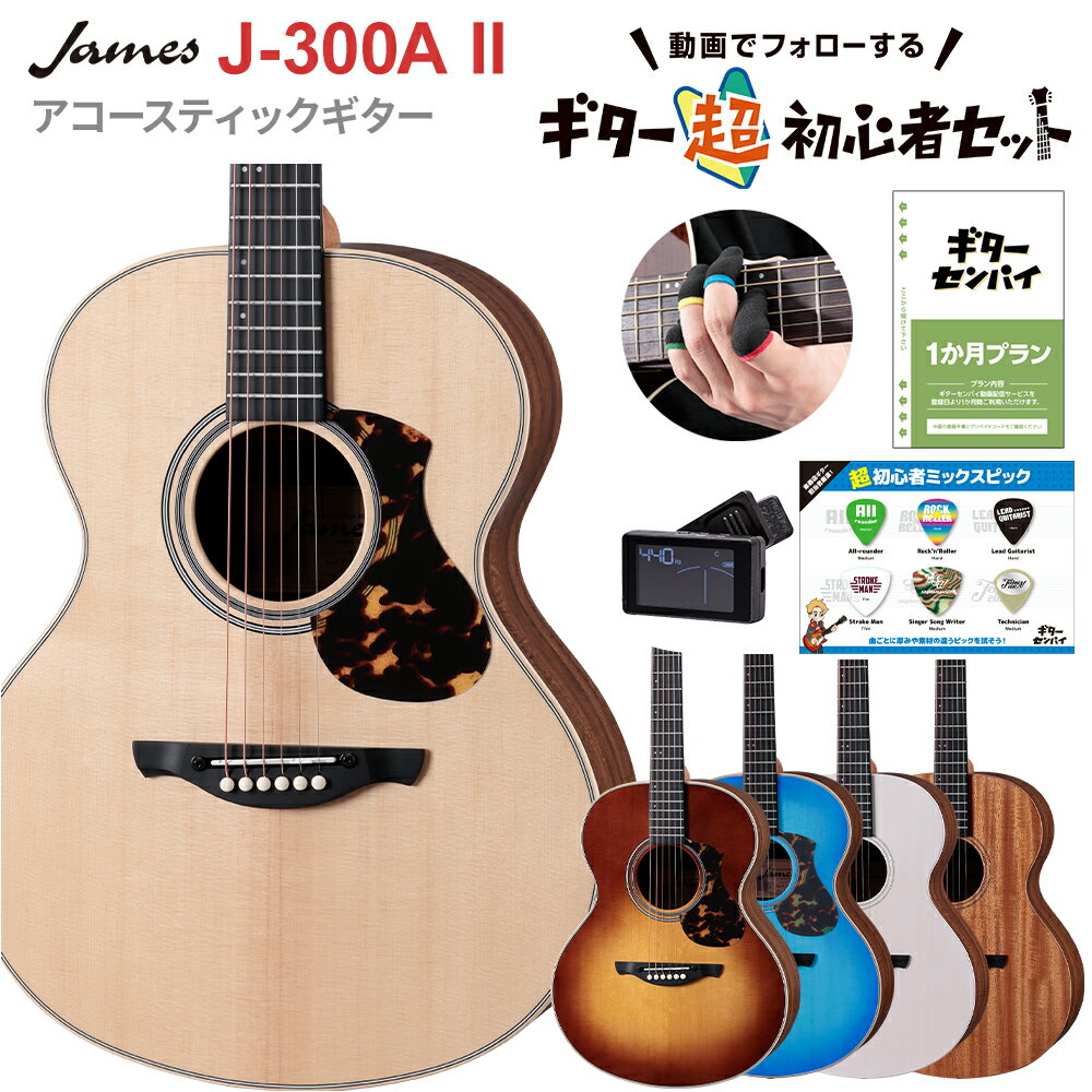 楽天市場】james ギターの通販