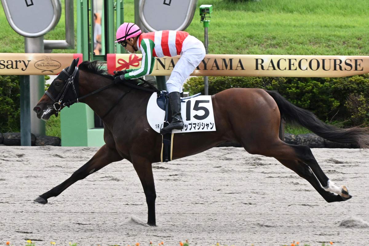 中山で朝イチから105万円馬券炸裂！ 単勝1・2倍が消えて2着に超