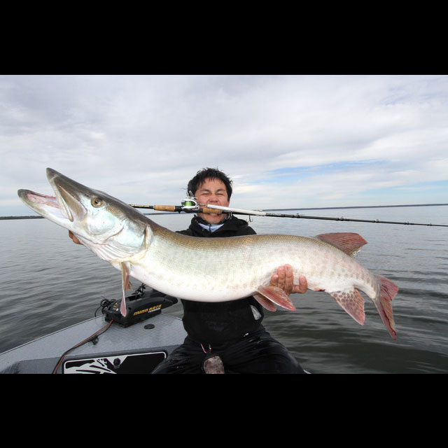 楽天市場】モンスターキス ディアモンスター MX-8+ : アングラーズ