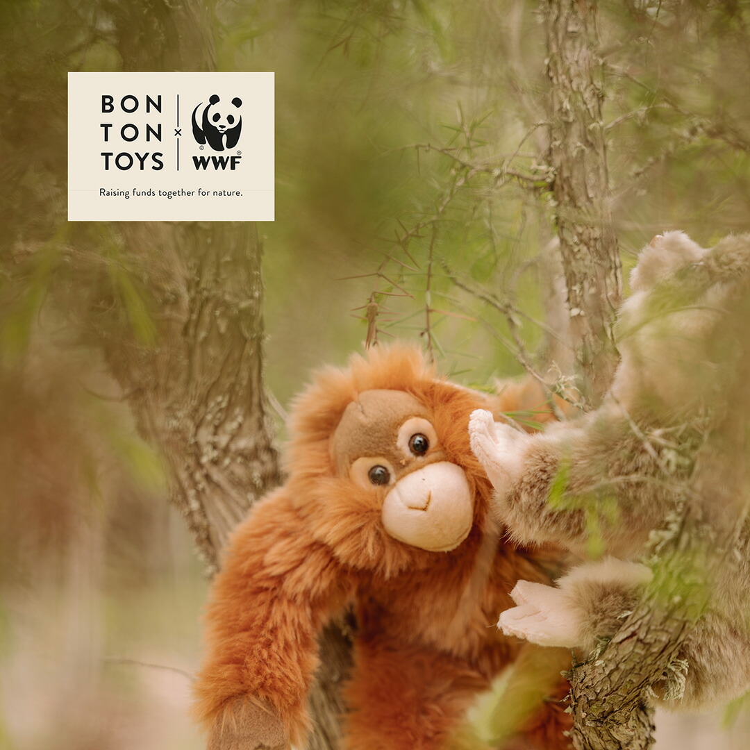 楽天市場】つぶらな瞳とふわふわ毛並みの、WWF オランウータンの