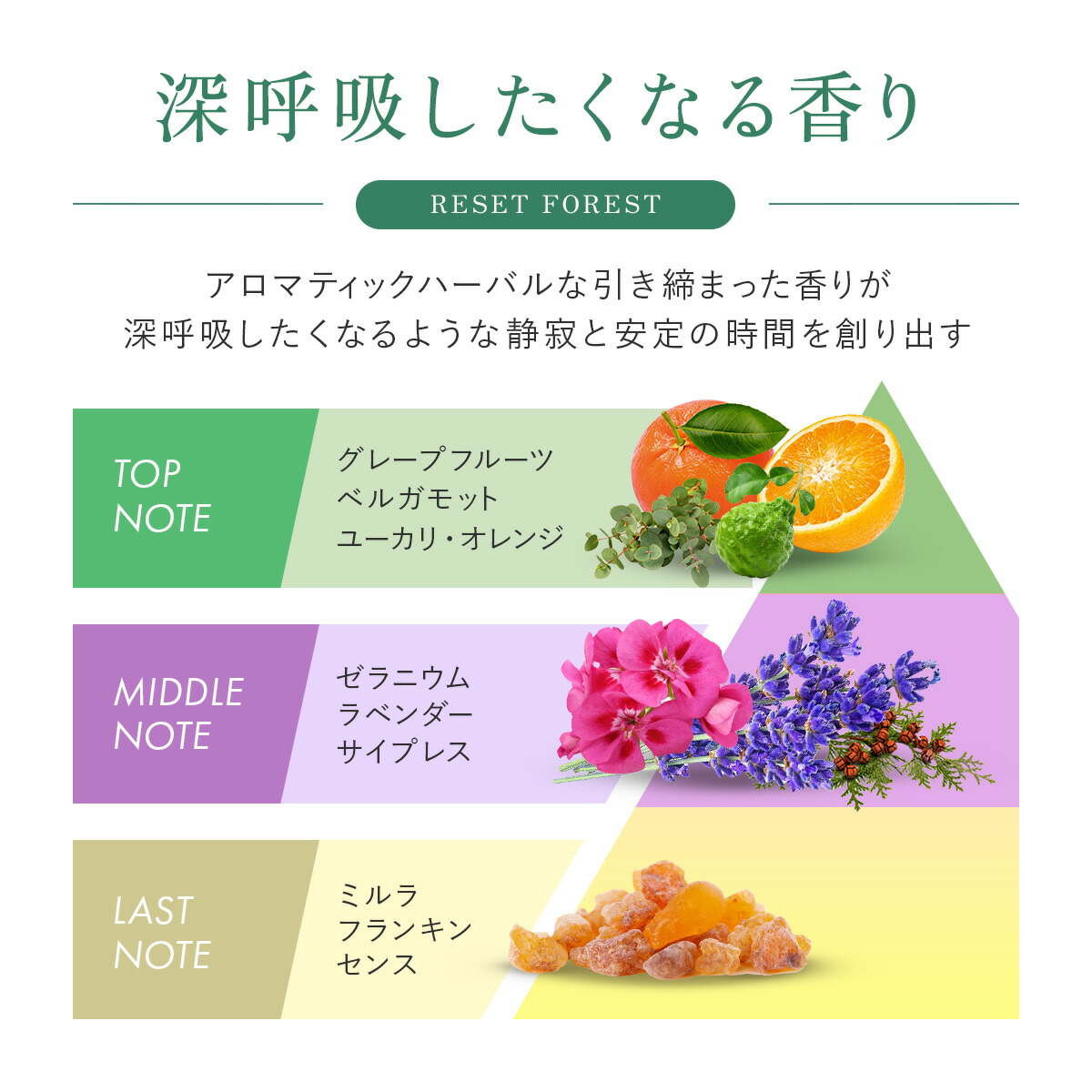 楽天市場】【3/1☆P5倍】5STEP プレミアムエイジングケアセット