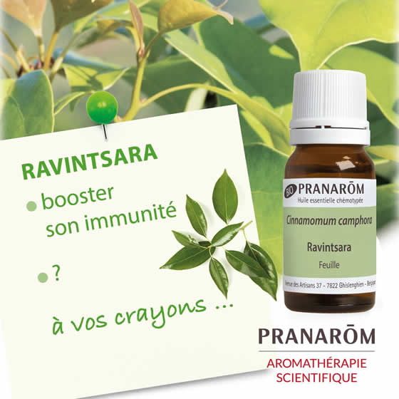 楽天市場】プラナロム ラヴィンサラ 10ml プラナロム アロマオイル