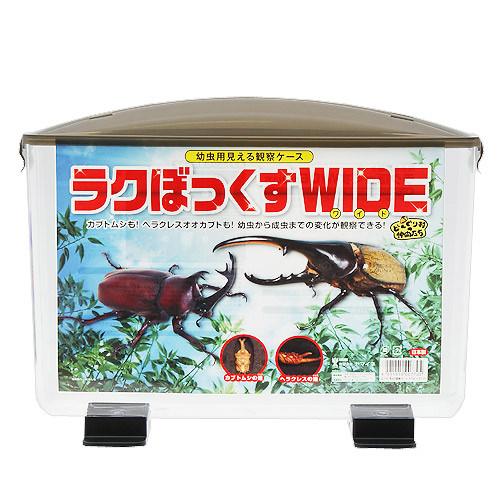 楽天市場】見える観察ケース ラクぼっくす ワイドの通販