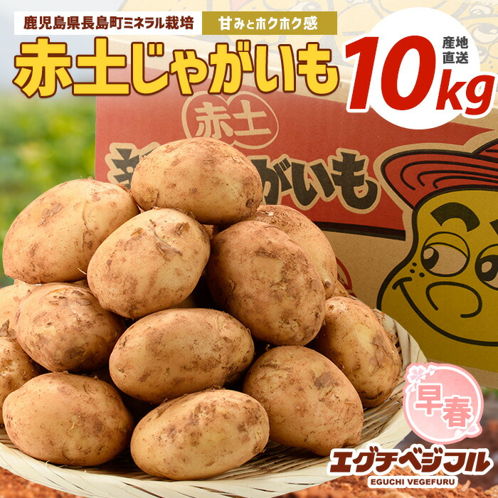 楽天市場】【ふるさと納税】【先行予約】早春長島のミネラル栽培