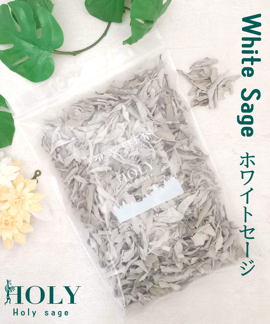 楽天市場】新鮮な香りのセージを輸入＼完全無農薬 採れたて セージ