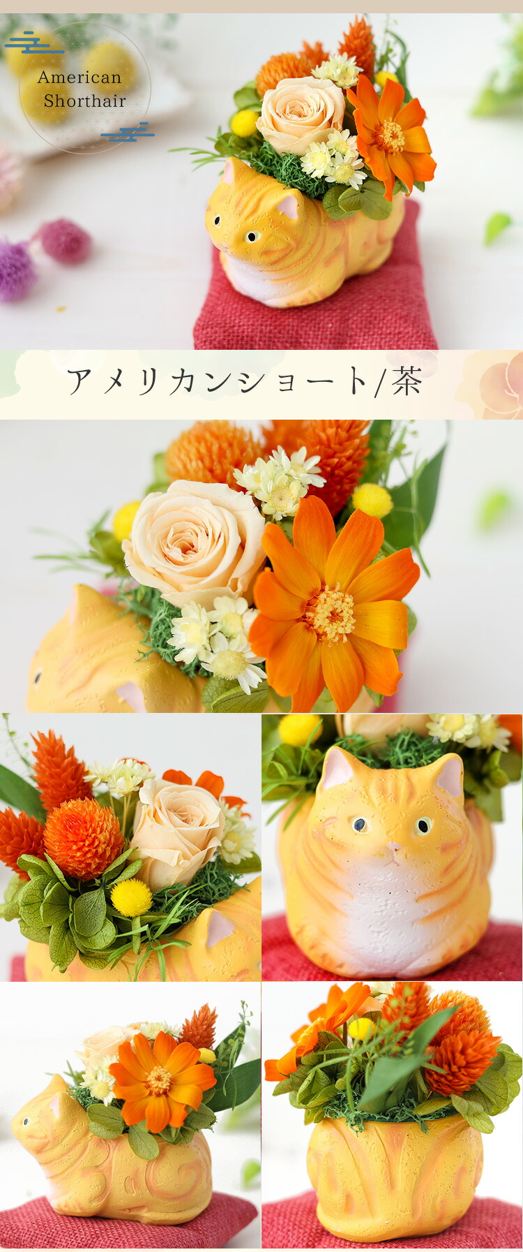 楽天市場】翌日配達 プリザーブドフラワー 和風 「くつろぎねこ」 7種