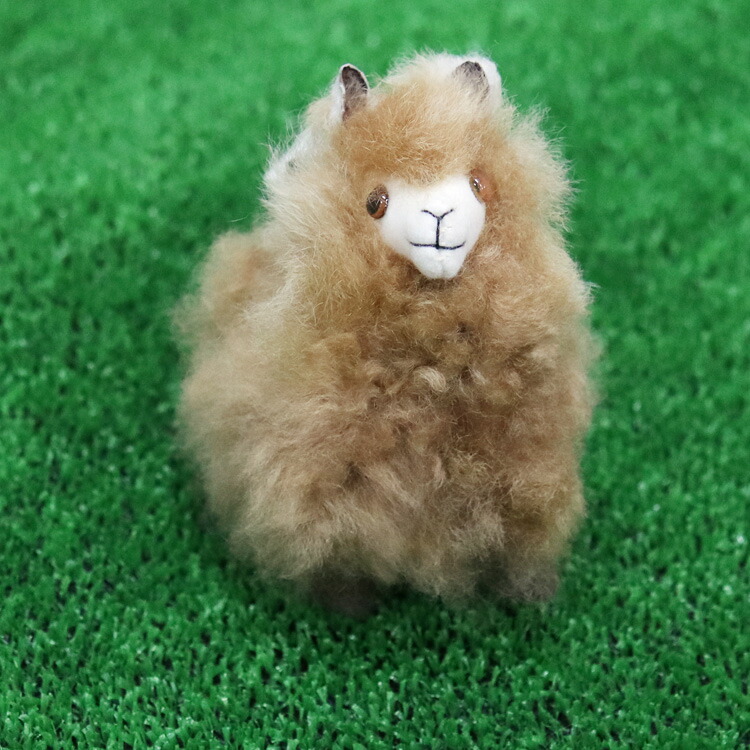 楽天市場】ベビーアルパカ ファー チャーム キーホルダー ぬいぐるみ