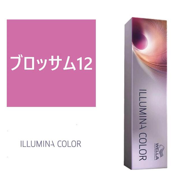 楽天市場】お買い物マラソン限定☆店内全商品対象☆200円引きクーポン