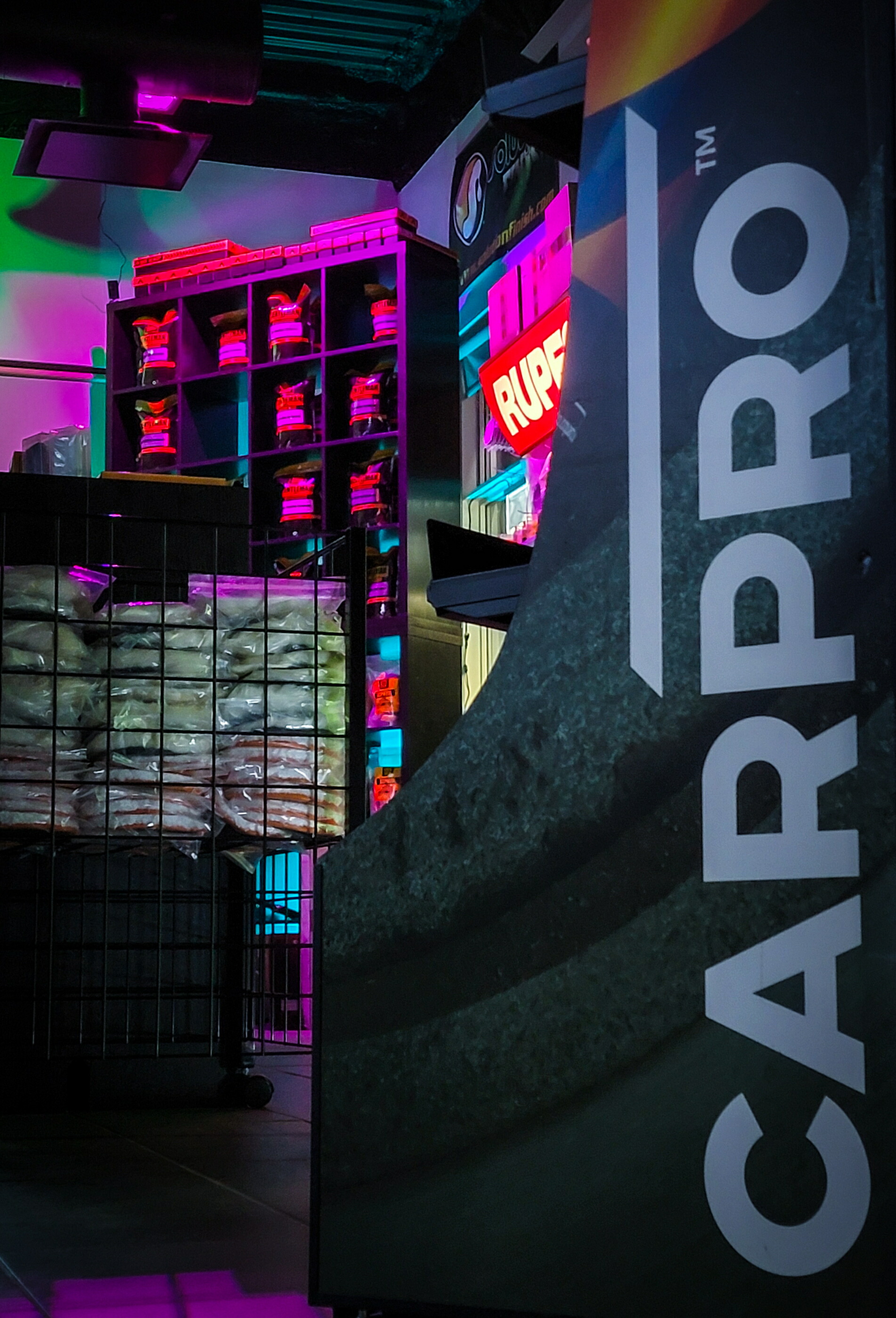 楽天市場】CARPRO Big Detailing Bag ビッグディテイリングバッグ 洗車