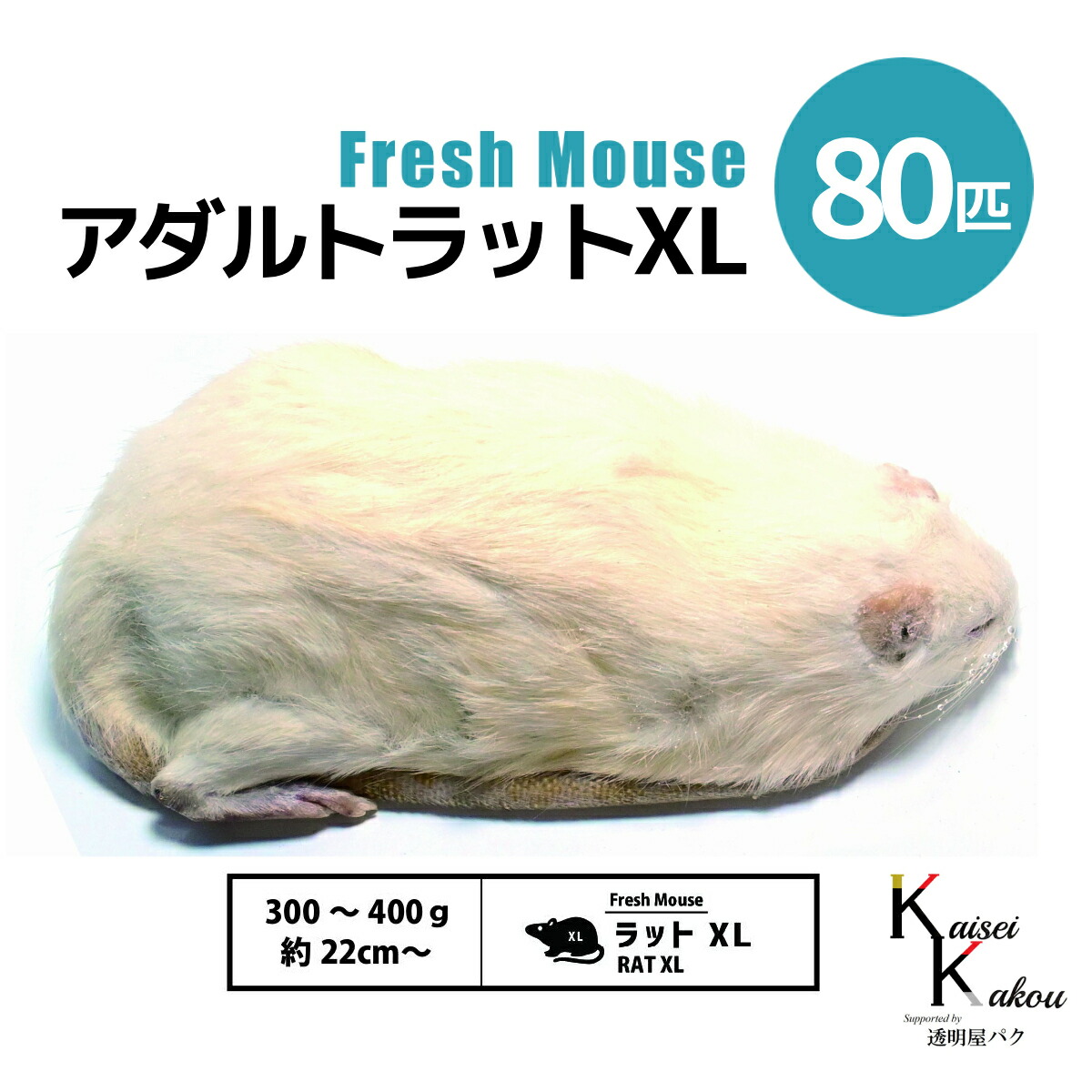 冷凍マウス」の人気商品一覧 | 安い商品を通販サイトから探す - 価格.com