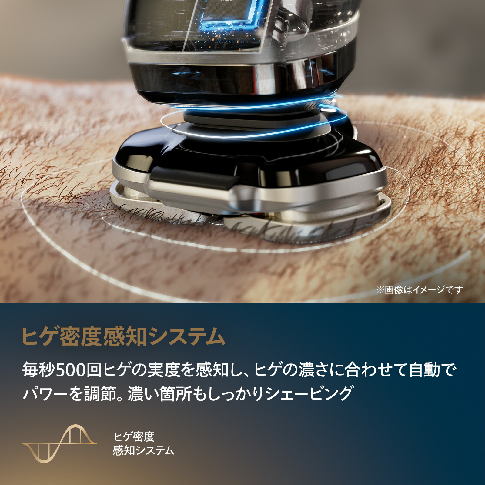 楽天市場】【ご応募で3000円キャッシュバック 対象購入期間:2/16〜4/30