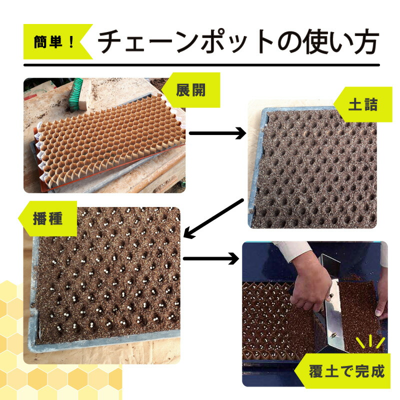 楽天市場】チェーンポット CP303 150冊 (個) 株間5cm 264鉢 播種