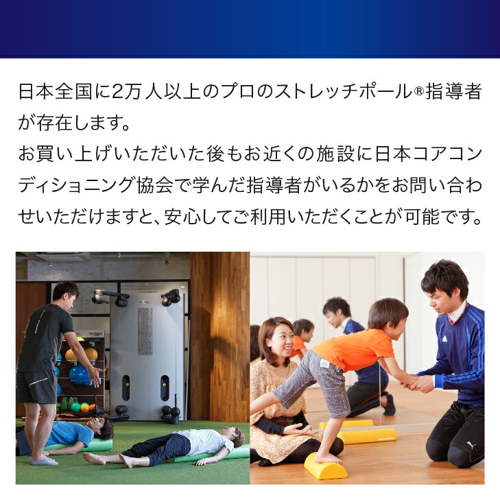 楽天市場】LPN ストレッチポールMX(ピンク)スタートBOOK、エクササイズ