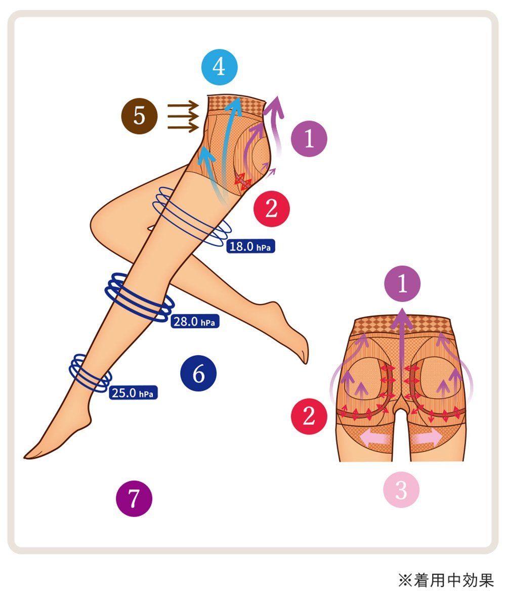 MARUKO｜レッグメイキング サイサポートシンメトリー ヴィヴァンテ