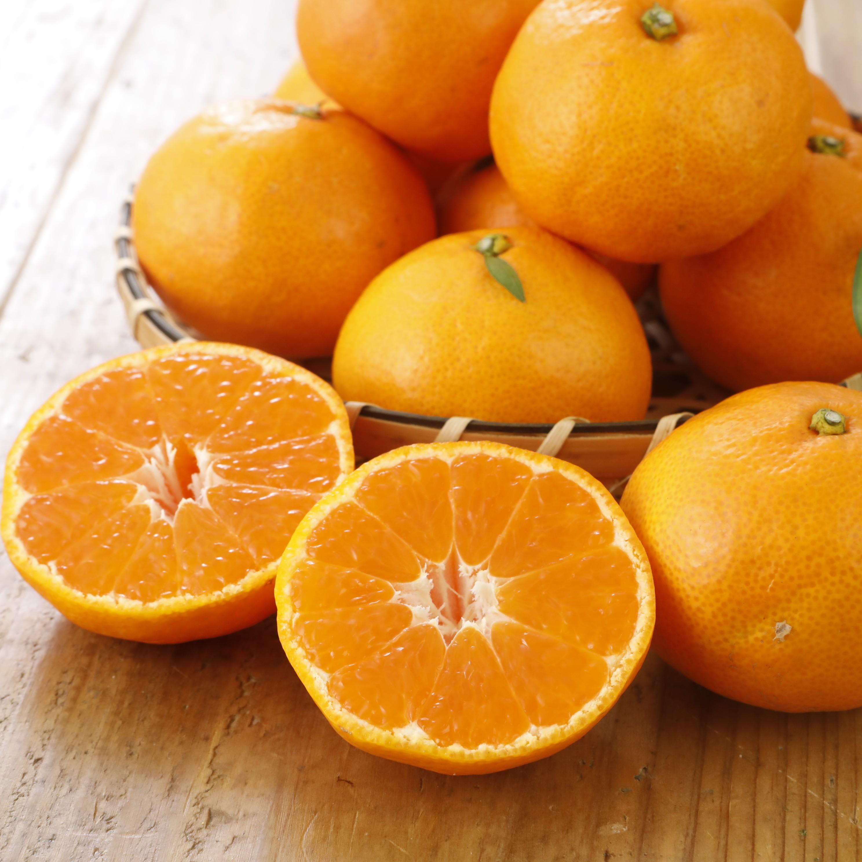 楽天市場】福岡県八女市産 早生みかん 2.5kg 5kg 送料無料 蜜柑 みかん