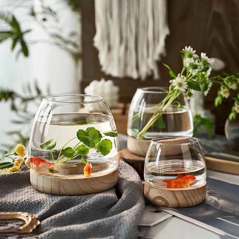 楽天市場】【クーポン最大1000円OFF】金魚鉢 おしゃれ 金魚 メダカ