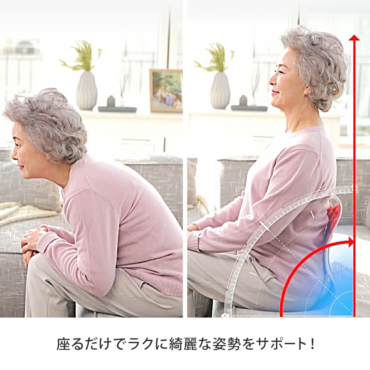 楽天市場】ピンセスジ【 椅子 綺麗 姿勢 サポート 韓国 新感覚 美姿勢