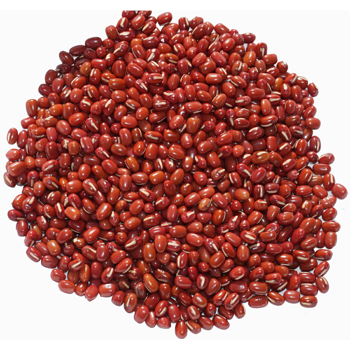 楽天市場】2025年度産 北海道 北斗産 小豆 アメ横 大津屋 azuki bean