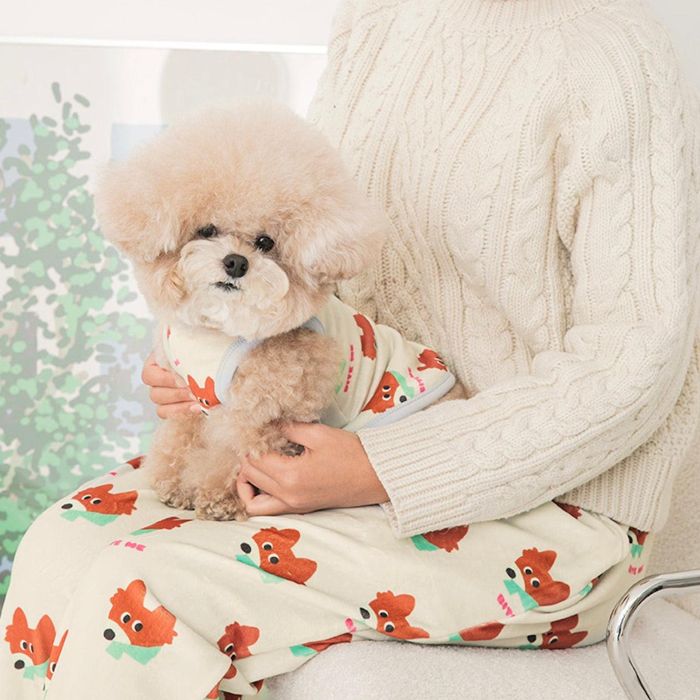 楽天市場】※予約販売【BITE ME】BeBe Sleep Pants - For people 韓国