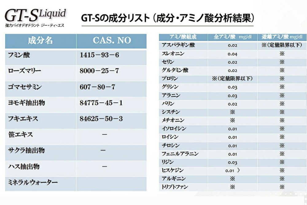 楽天市場】消臭 除菌 無香料 無臭 消臭王GT-S 液体 無臭 500ml 嫌な