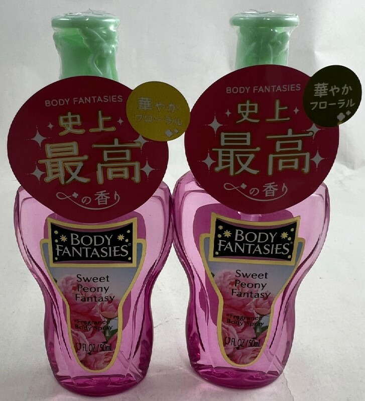 楽天市場】【×2個セットメール便送料込】フィッツコーポレーション