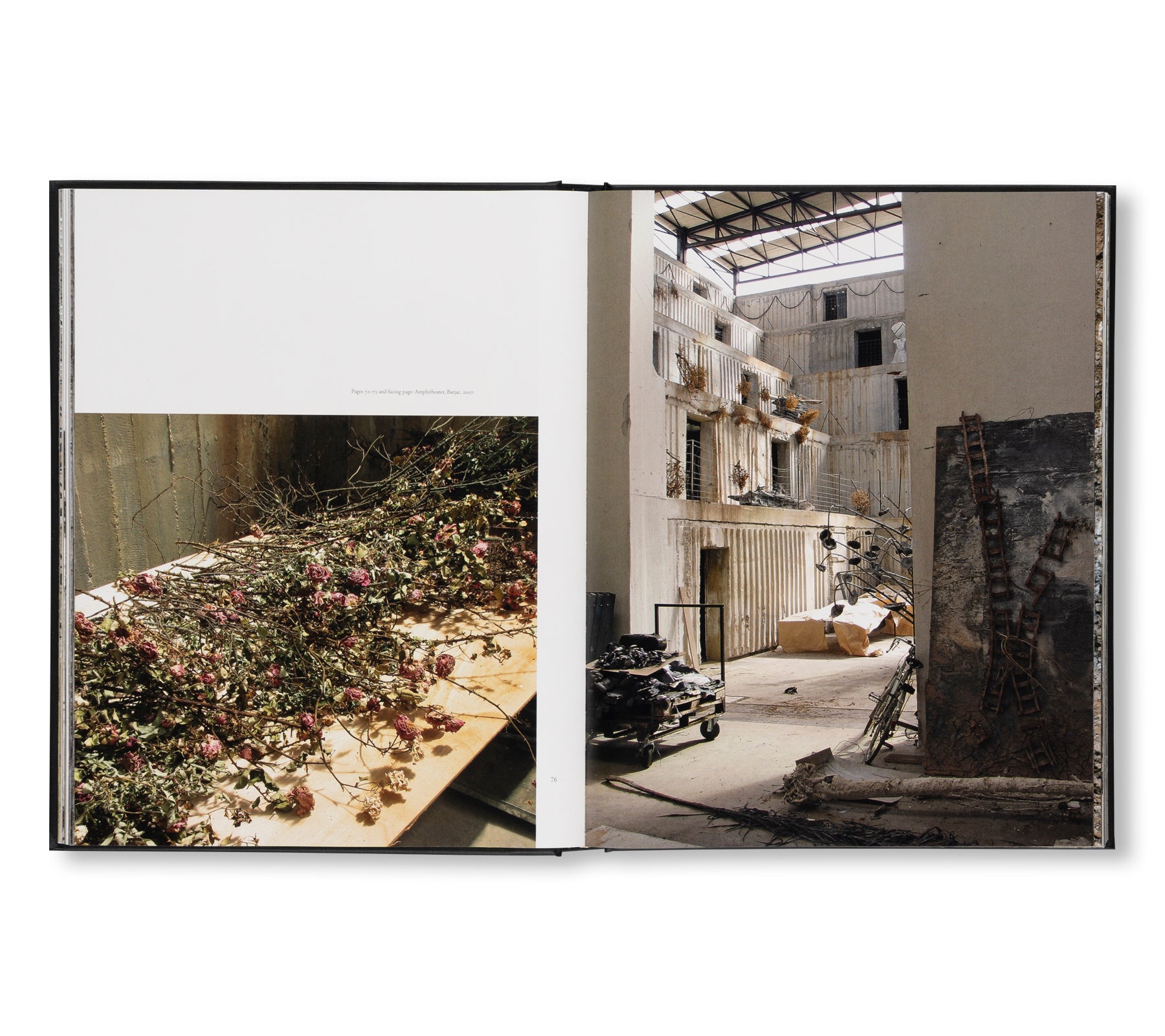 ANSELM KIEFER - STUDIOS by Danièle Cohn – twelvebooks