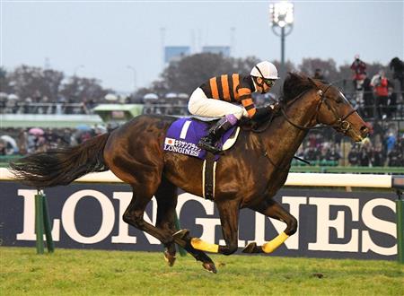 ジャパンC】キタサンブラックが堂々の逃げ切りV｜競馬ニュース｜競馬